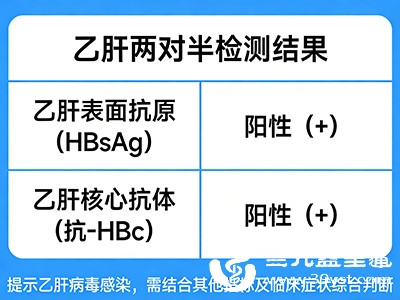 乙肝表面抗原、核心抗体阳性：提示乙肝病毒感染，可能处于感染早期或慢性携带状态.jpg