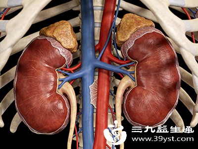 尿毒症不是突然来的 早期4个“预警信号”对照自查