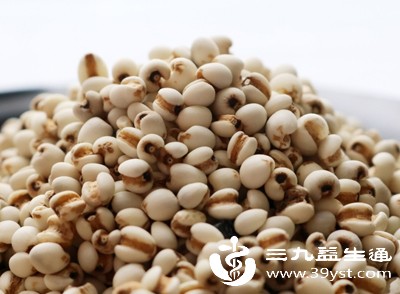 减肥党看过来 薏仁米这样吃低热量高纤维，饱腹不挨饿