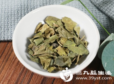 取桑叶10克 取桑叶10克