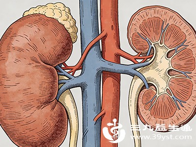 肾脏或心脏问题