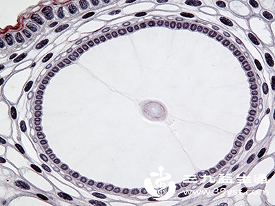 乳腺良性疾病（如纤维腺瘤）若肿块较小（＜2厘米），可定期观察