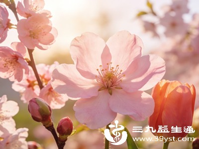 惊蛰节气也寓意着生机勃发,大自然从寒冬的沉寂中苏醒,草木萌芽、百花初绽 惊蛰节气也寓意着生机勃发,大自然从寒冬的沉寂中苏醒,草木萌芽、百花初绽