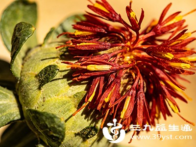 红花的花朵呈橙红色或红色，为管状花，长约1～2厘米，花冠筒细长，先端5裂，裂片呈狭条形