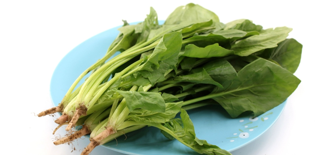 养肝吃什么食物