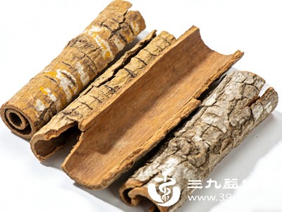 地骨皮的功效与作用全解析 温和降火不伤脾胃 这些禁忌一定要记牢 别用错耽误调理