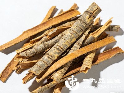 体质偏虚热的人群是地骨皮的主要适用群体，这类人常表现为口干舌燥、心烦失眠、潮热盗汗，日常使用地骨皮调理可缓解不适