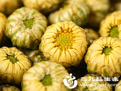 胎菊性微寒，有着不错的清热降火作用