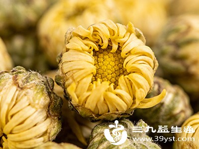 胎菊的清香有着独特的安抚作用