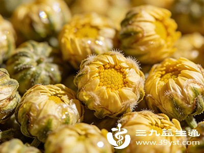 胎菊性微寒，脾胃虚寒的人不宜过多饮用，以免加重脾胃负担