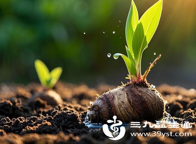 特殊人群谨慎食用