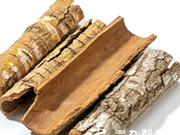 地骨皮的功效与作用