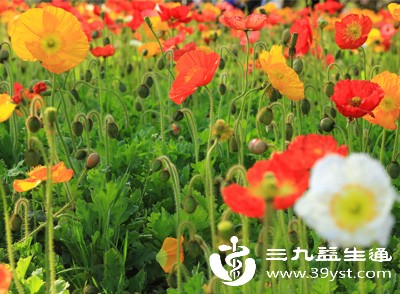 在户外接触花粉、柳絮后症状明显加重，可能是花粉过敏