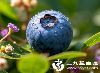 超大蓝莓果皮相对较薄，果肉饱满多汁，在长途运输、分拣和储存过程中，很容易受到挤压、碰撞