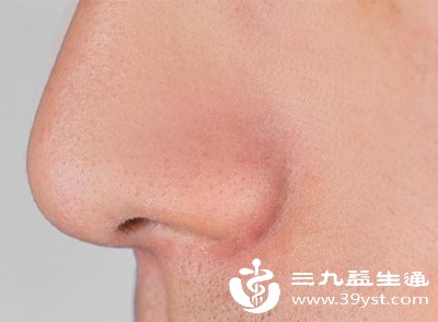 鼻子的形态主要由骨骼和软骨决定 鼻子的形态主要由骨骼和软骨决定