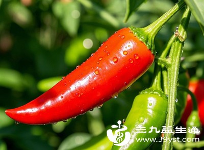 别因嘴馋毁了祛斑效果 激光术后忌口清单来了 辛辣光敏食物全避开 养肤又省心速码收藏