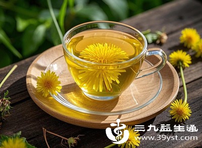 鲜蒲公英泡水不宜过量，每次使用鲜蒲公英的量以30-50克为宜，每天饮用不超过一杯（约200毫升）