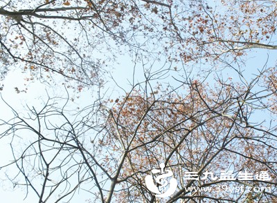 秋冬季节气温降低，空气湿度大幅下降，皮肤水分蒸发速度加快，容易变得干燥