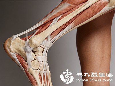 增强爆发力与弹跳力