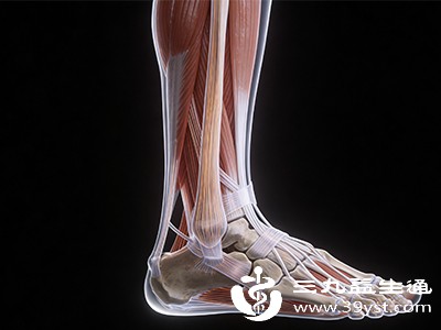 跟腱的弹性和强度比单纯的长度更重要