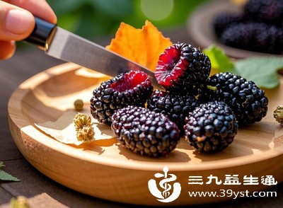 准妈妈纠结桑葚果能不能吃 答案在这 吃对了对母婴都有益