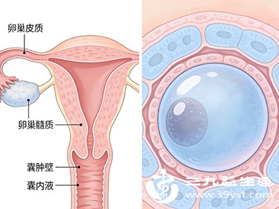 较小的卵巢囊肿一般无明显症状，但当囊肿压迫周围组织或发生轻微扭转时，会引起左下腹隐痛