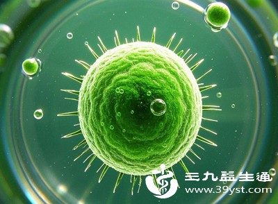 经期同房危害大 可能引发子宫内膜炎 盆腔炎 还会伤害男性健康