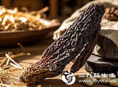 解锁肉苁蓉的多样吃法 泡水 泡酒 煮粥 对症选择效果好