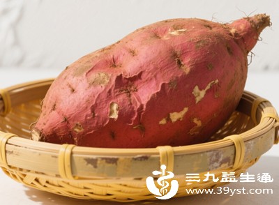 红薯中含有较多的膳食纤维，过量食用会影响蛋白质的消化吸收