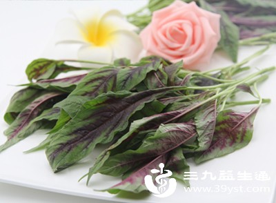 孕妇吃红苋菜 营养助力孕期 适量与搭配是关键