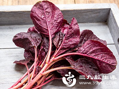 红苋菜中的叶酸是胎儿神经管发育不可或缺的营养素，孕期适量摄入可降低胎儿神经管畸形的风险