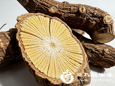 认识中药乌药核心功效 临床场景及使用注意要点详解