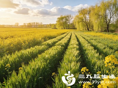 春分到了 快收下这3招养生秘诀全家都受益