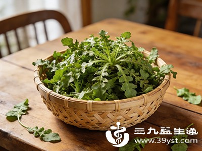 荠菜性温味甘，能健脾祛湿、清热止血