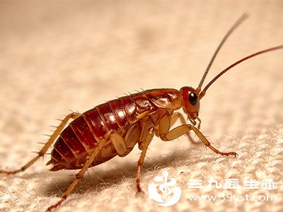 家居环境的排查依据