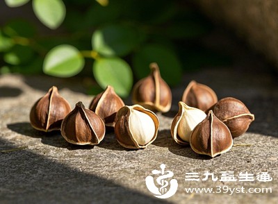 将辣木籽当作“万能保健品”而替代正常饮食，长期会造成营养不良，损害机体免疫力