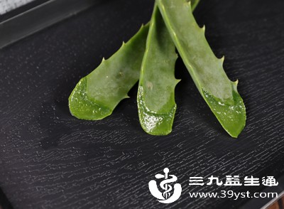 彻底处理芦荟叶片