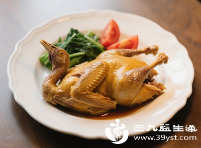 鸽子是术后“补品” 早期别急着吃 掌握这个时间点更有效