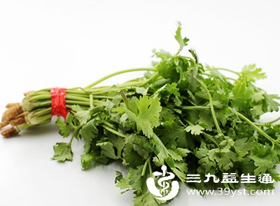 香菜吃法不重样 从配菜到主食 鲜香藏不住