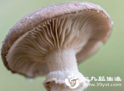某些菌菇在紫外线照射后，会合成维生素D，如香菇、平菇等