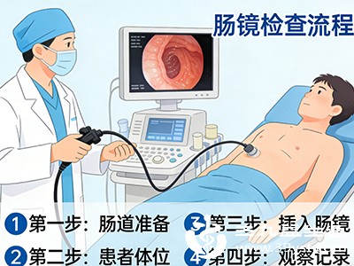 随着年龄增长，肠道黏膜逐渐老化，息肉和肿瘤的发病风险显著上升。建议从40岁开始，每5-10年进行一次肠镜检查