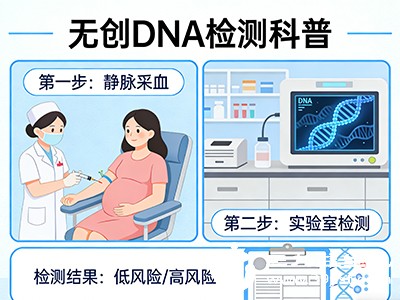 唐筛的费用一般在几百元左右,而无创DNA的费用相对较高,通常在几千元 唐筛的费用一般在几百元左右,而无创DNA的费用相对较高,通常在几千元