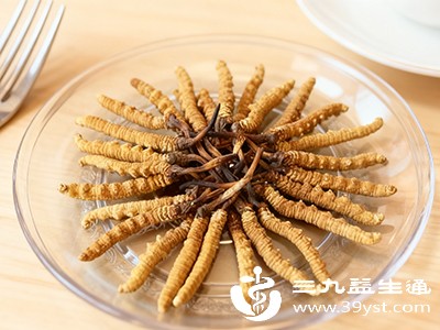 别乱吃冬虫夏草 这些禁忌很关键 早知早受益