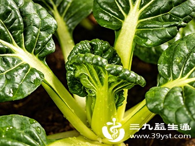 芥菜是含钙量较高的蔬菜之一,每100克芥菜中钙含量约为230毫克 芥菜是含钙量较高的蔬菜之一,每100克芥菜中钙含量约为230毫克