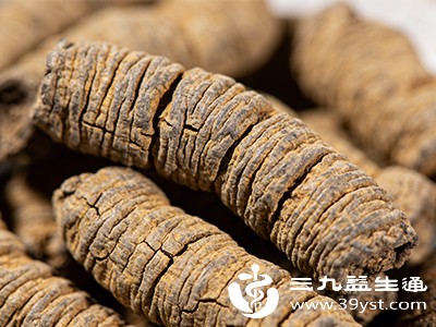 巴戟天功效多 但禁忌也不少 这些要点得记牢