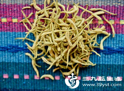 脾胃虚寒、经常腹泻者，应谨慎饮用，以免加重虚寒症状