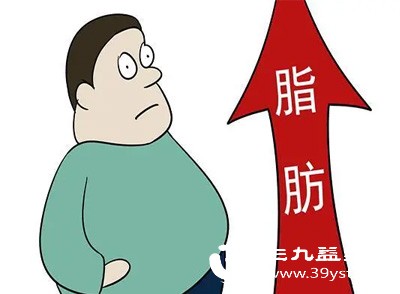 脂肪是这么被代谢的 从分解到排出 每一步都有讲究