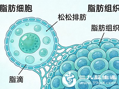 体内的激素水平对脂肪代谢有着重要的调节作用 体内的激素水平对脂肪代谢有着重要的调节作用