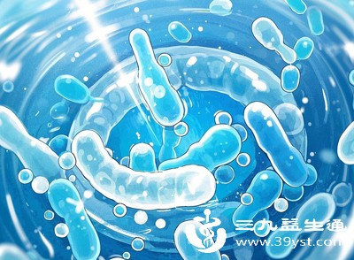 益生菌和益生元联合使用时，益生元可以为益生菌提供营养