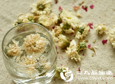 菊花有一定清热作用，牙痛时可适量饮用